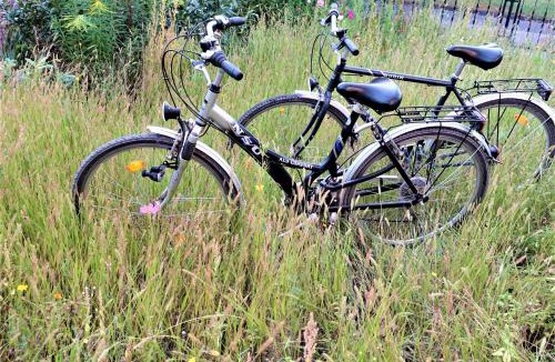 Meinhard Other | Z8