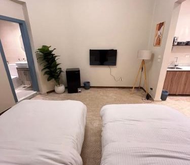 Zamalek Apartment | Zamalek studio S2