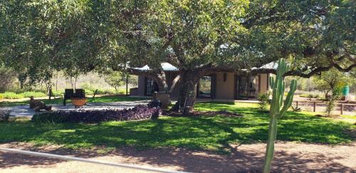 Madibeng Apartment | Zebra game farm