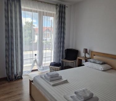 Talmaciu Hotel | Zen
