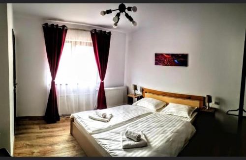 Talmaciu Hotel | Zen