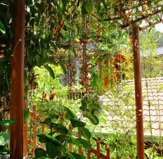 Phuong 10 Resort | Zen Valley Dalat