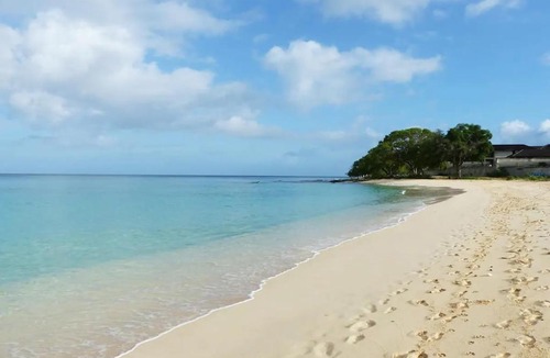 Spring Garden Apartment | Zenbreak Freshwater Beachfront 6