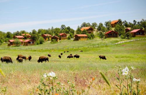Zion National Park East Entrance Resort | Zion Mountain Ranch
