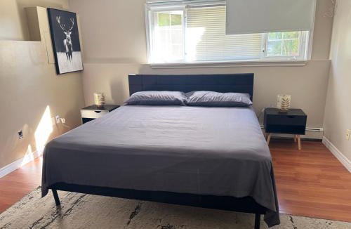 Dartmouth Apartment | Zoe Home