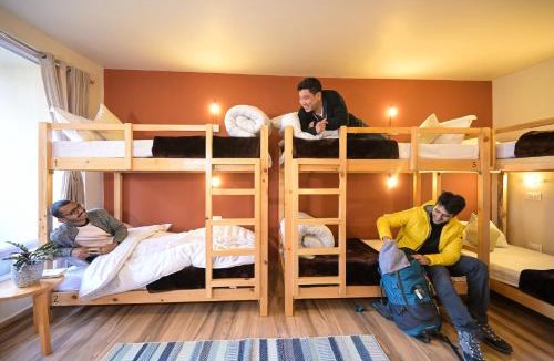 Manali Hostel | Zostel Dobhi, Manali