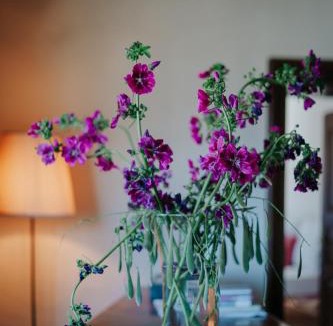 Laces Hotel | Zum Riesen Historic Refugium