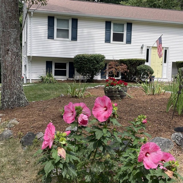 1.5 miles from World Cup action. Brilliant 3-bedroom house with AC.