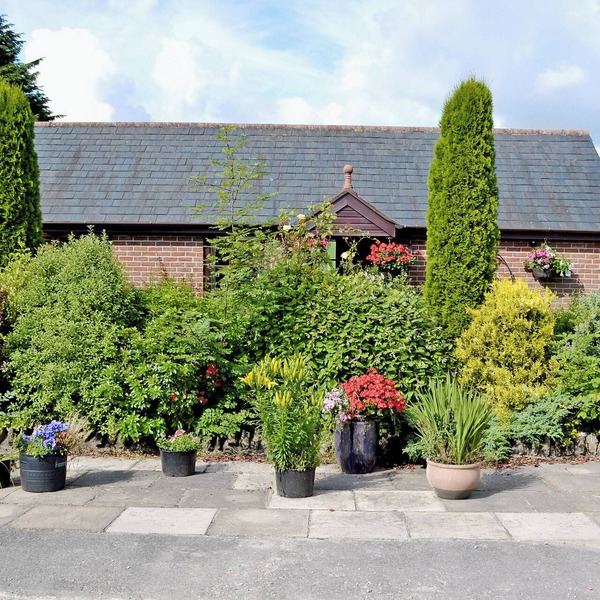 1 bedroom accommodation in Evershot
