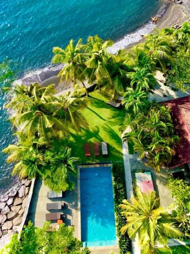 1000 Dream Bungalow