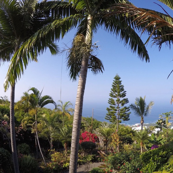1000 Ft Elevation Overlooking The Beautiful Pacific Ocean