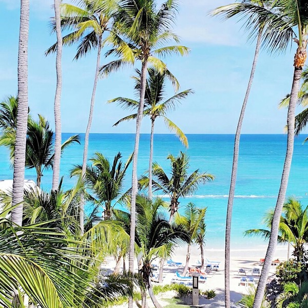 14BR Spacious Multi-Unit Retreat with Rooftop Plunge Pool - Walk to Beach +Bonus