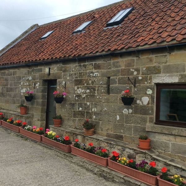 2: Lapwing Sleeps 4 (2 Bedrooms)