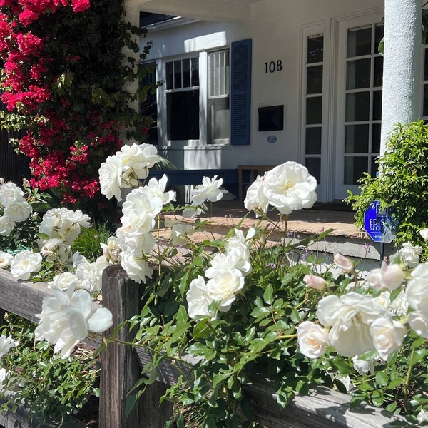 2 West Beach Cottages, 1 Block to Beach & Downtown, Harbor & Funk Zone