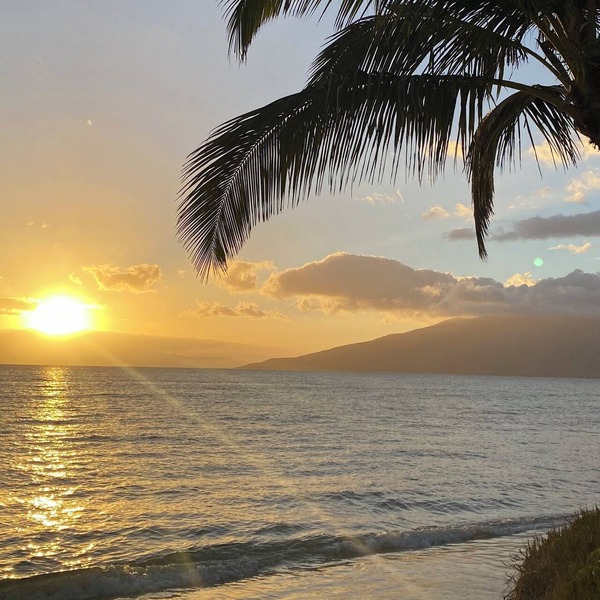 2BR/1BA BEACHFRONT GREAT LOCATION July 2026-Sept 2026 Discounted!