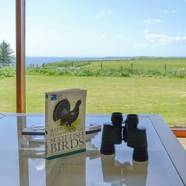 3 bedroom accommodation in St Cyrus, near Montrose