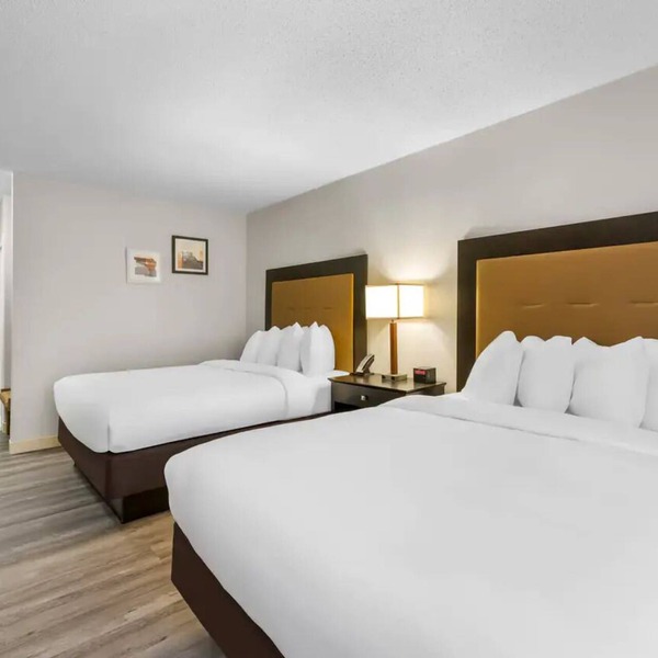 3 Pet-Friendly Rooms Convenient for Exploring Oneida Shores Park