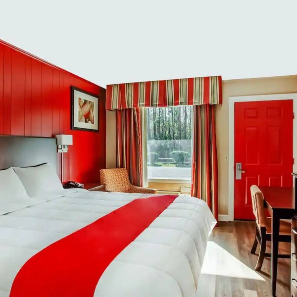 4 Affordable King Rooms for Value-Minded Travelers w/Free Parking