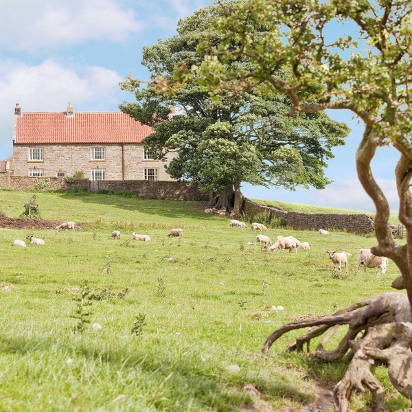 5 bedroom accommodation in Kildale, near Whitby