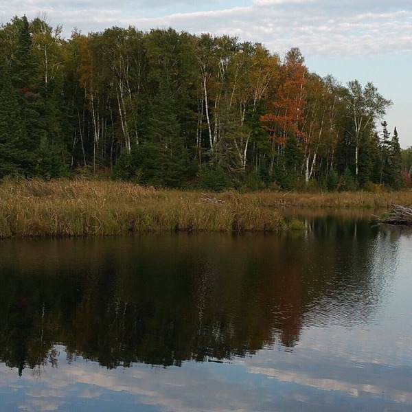 5 Unique Cabins And 2 Houses For A Large Group, Family Reunion, Or Wedding