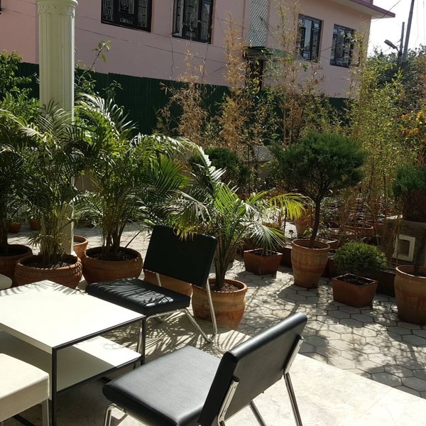 A charming eclectic boutique hostel in Nepal