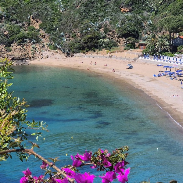 A few steps from the sea rdv est special offer free wifi