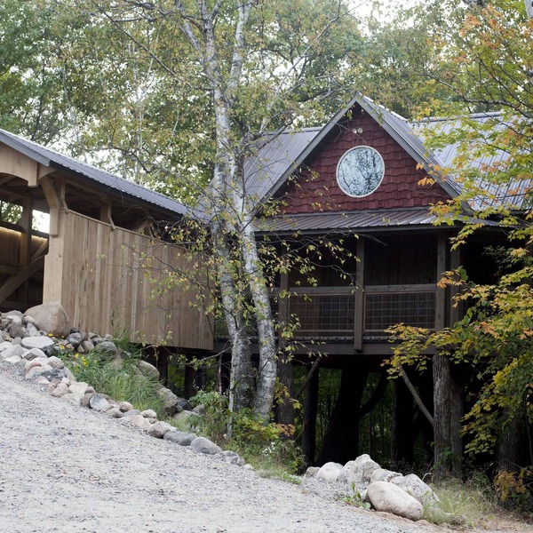 A Four Seasons Tree House With All Amenities Of A Home