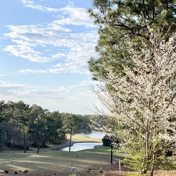 A Golf Front, 3 BR, 2BA, 4beds, Sleep 6 on Pinehurst #6