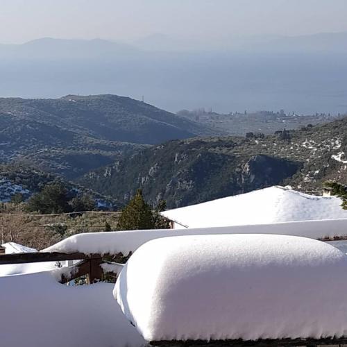 A Second Home for Perky Roses, at Milies, Pelion, Volos Greece