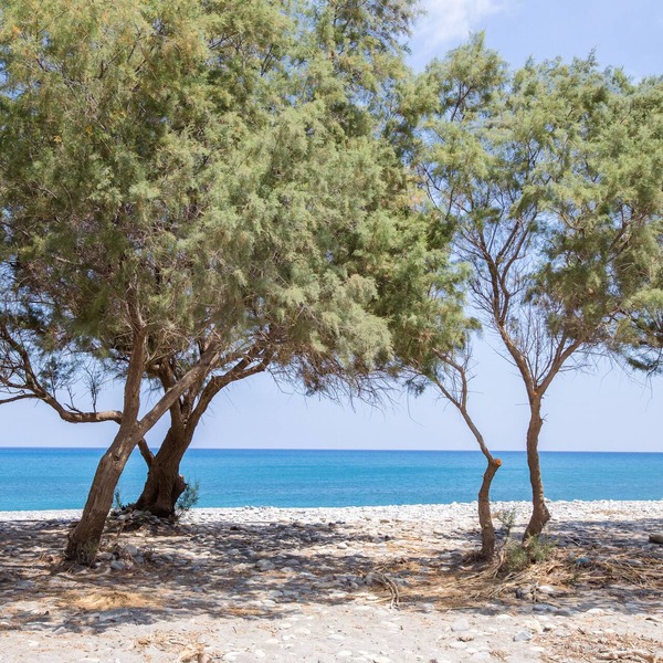 Aadonis Villa