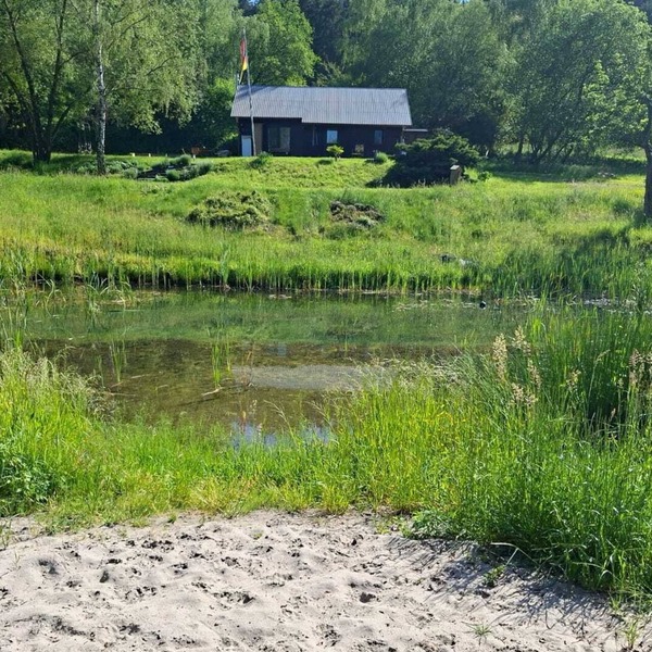 Abschalten in der Natur am Schwimmteich