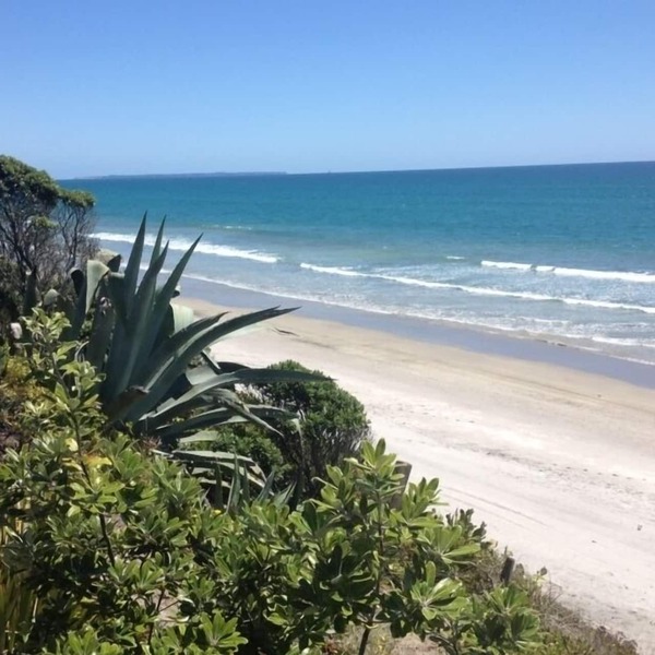 Absolute beachfront Pukehina