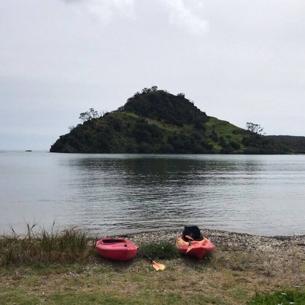 Absolute beachfront at Pataua South