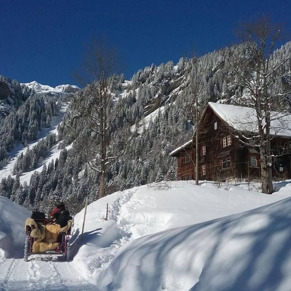 Absolutely quiet panoramic location in an ancient wooden house
