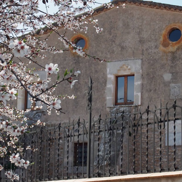 Accommodation in a winery, surrounded by biodynamic vineyards!