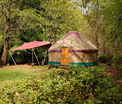 Adhurst Yurts