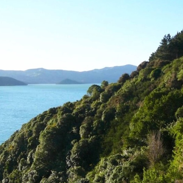 Akaroa Coastal Studio