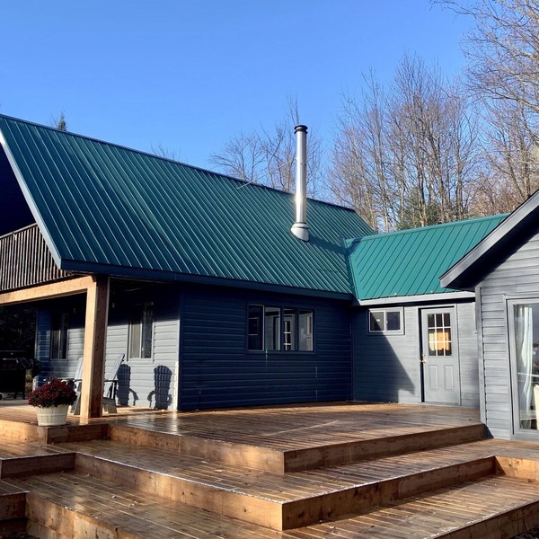 Algonquin Manitou Cottage & Lost Dog
