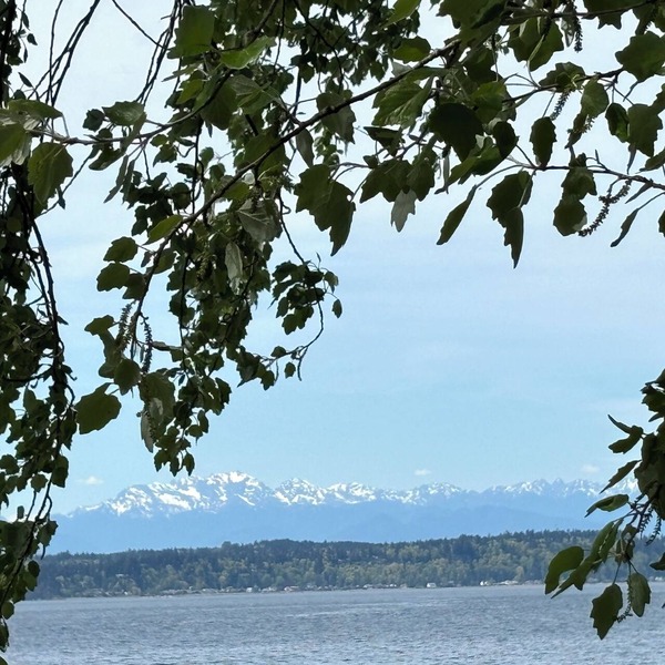 Alki Beach modern and cozy 3 bdrm home near dining, Lumen and T-Mobile park.