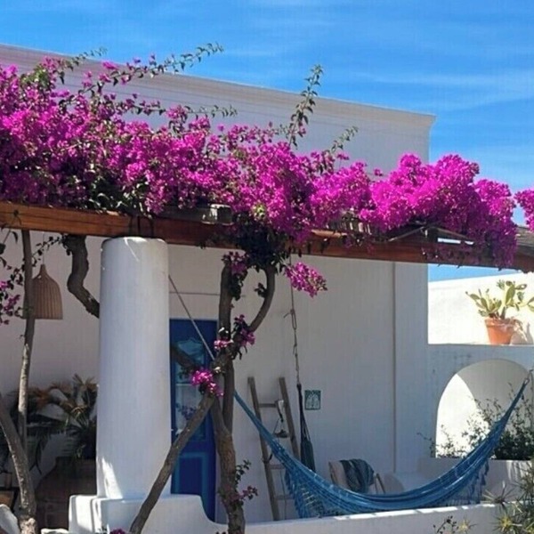 Ancient Aeolian house with large garden overlooking the sea and volcano