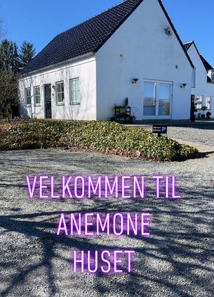 Anemone huset