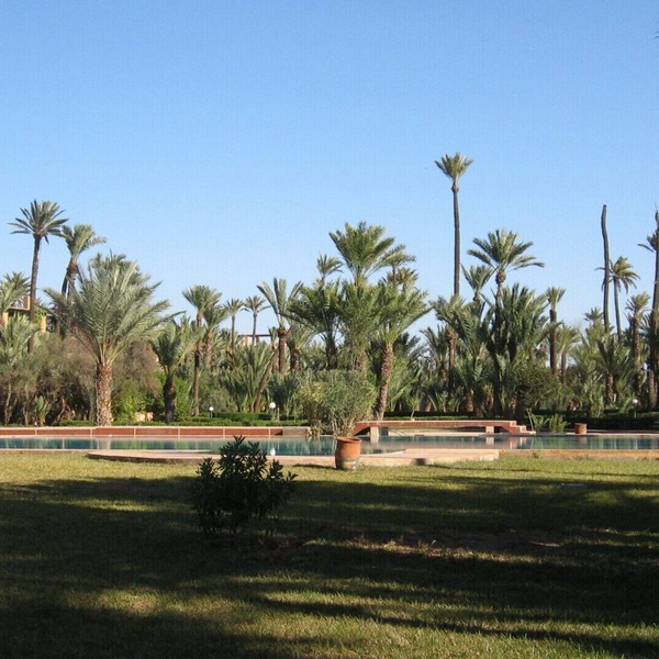 Apartment/flat - MARRAKECH