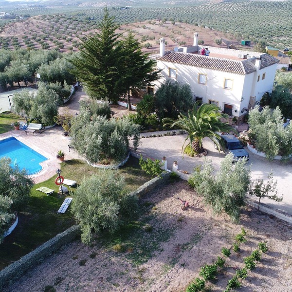 APARTMENT IN ECOLOGICAL AGROTURISMO PLACED IN THE GEOGRAPHICAL CENTER OF IDEAL ANDALUSIA FOR EXCURSIONS FOR ANDALUSIA