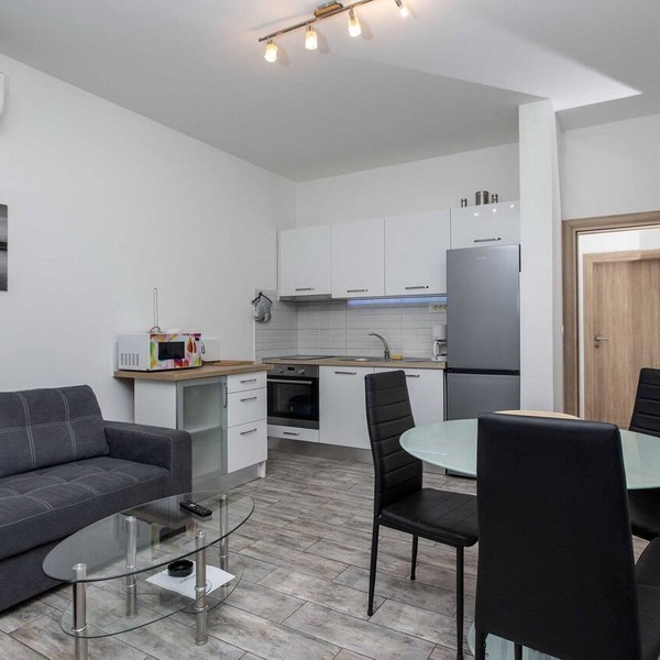 Apartment Villa Andelka with Swimming Pool