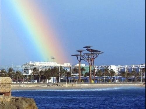 Arcoiris Pineda