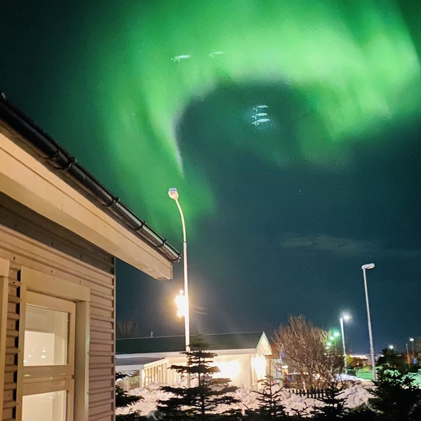 Arctic Wind