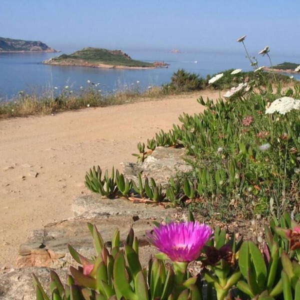 Asfoldelia: holiday, sea and relax in elegant apartment