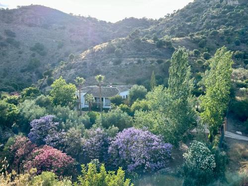 Authentic Luxury Villa in Oasis with Pool close to Malaga