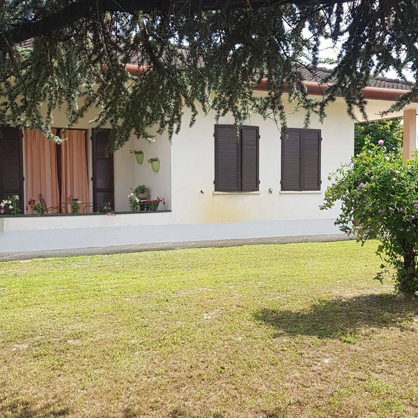 B&B Cedro Argentato