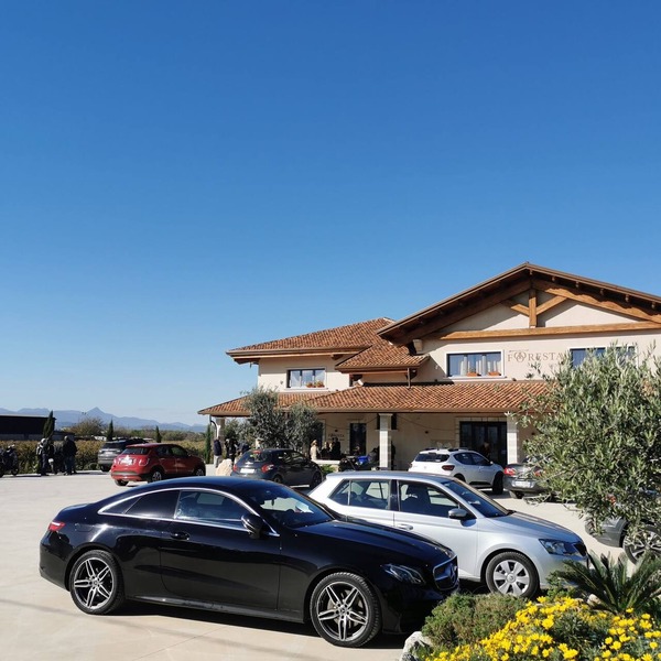 B & B Foresta Vini